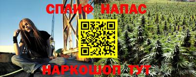 apvp Новодвинск