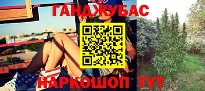 каннабис Новозыбков
