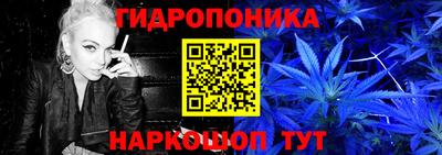 apvp Новодвинск